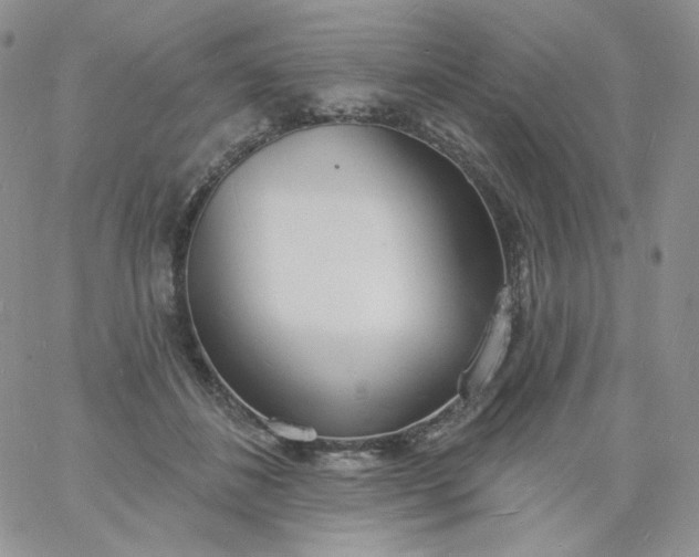 X0000060810508200511241939