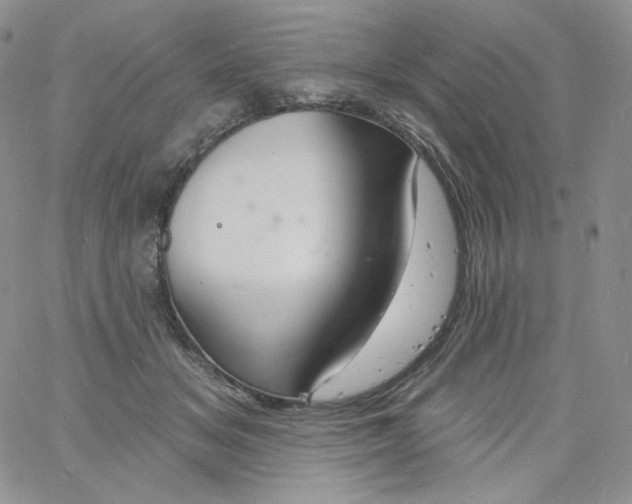 X0000060810509200511241939