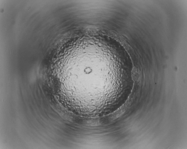 X0000060810511200511241939