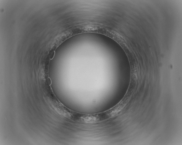 X0000060810512200511241939