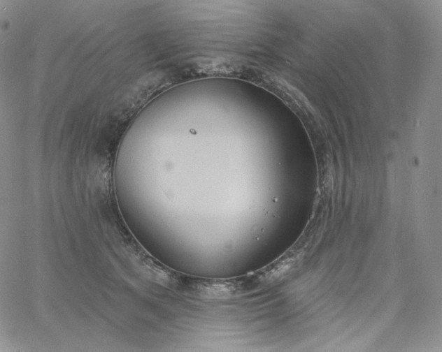 X0000060810513200511241939