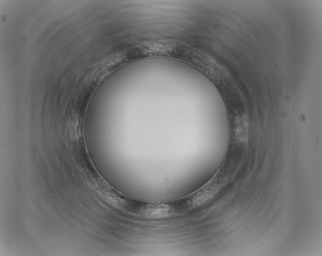 X0000060810514200511241939