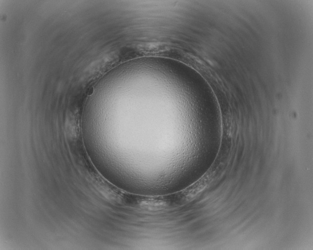 X0000060810515200511241939