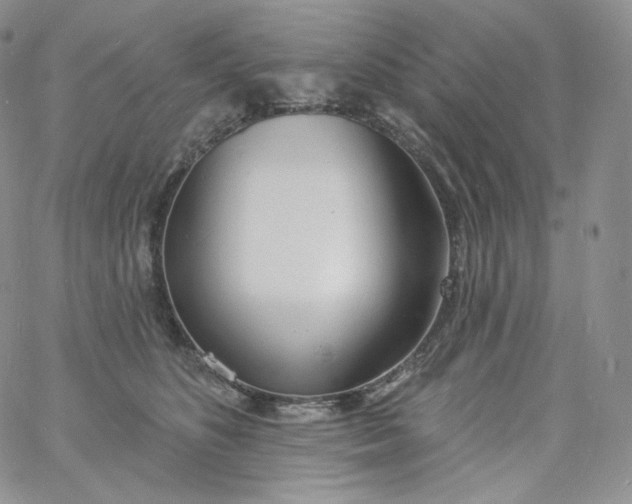 X0000060810516200511241939