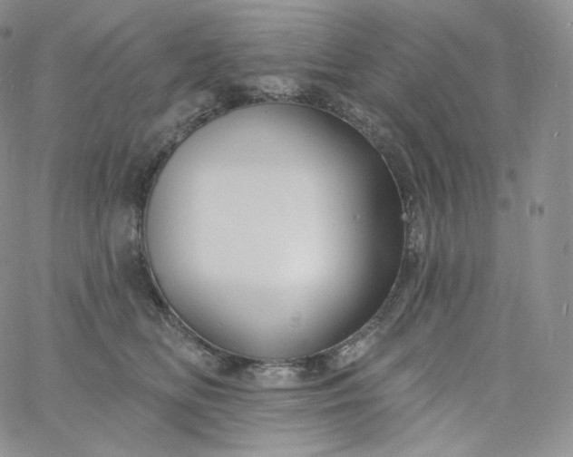 X0000060810518200511241939