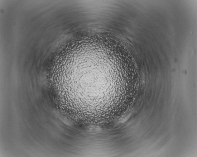 X0000060810519200511241939