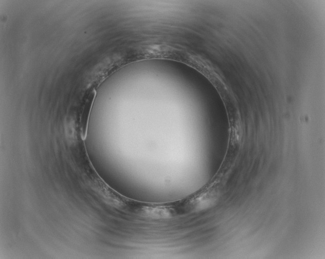 X0000060810520200511241938