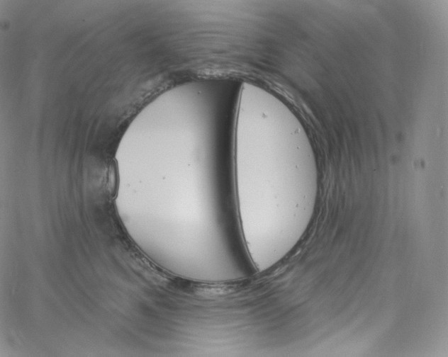 X0000060810521200511241938