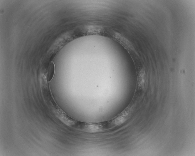 X0000060810522200511241938