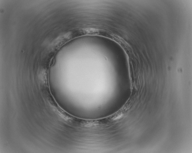 X0000060810523200511241938