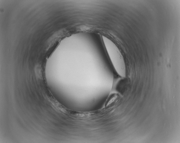 X0000060810524200511241938