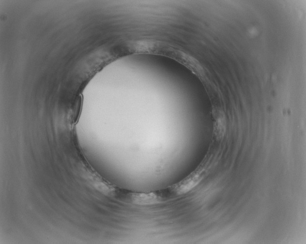 X0000060810525200511241938