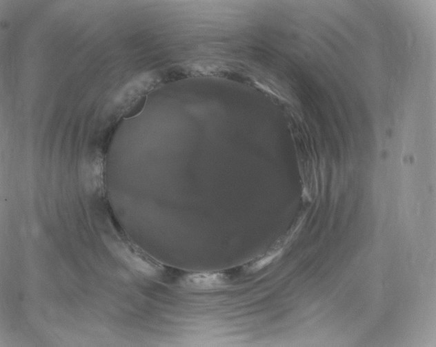 X0000060810526200511241938