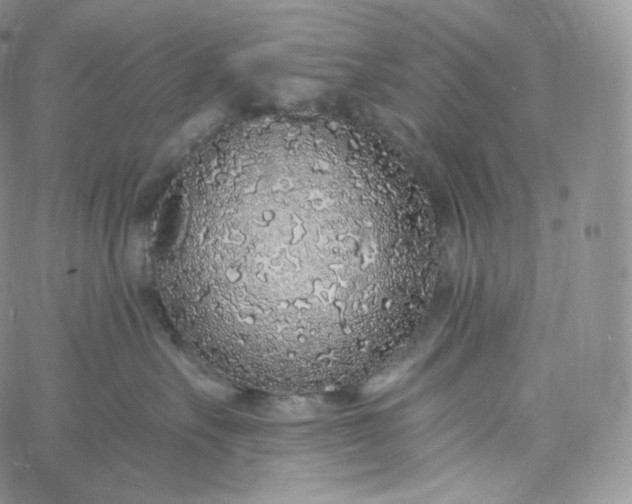 X0000060810527200511241938