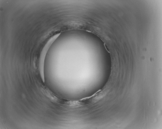 X0000060810528200511241938