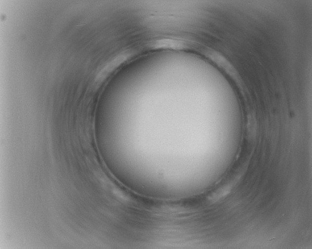 X0000060810529200511241938