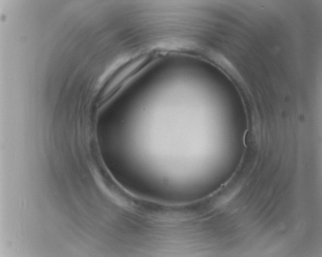 X0000060810530200511241938