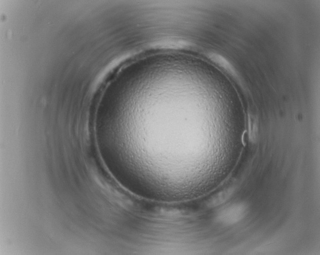 X0000060810531200511241938