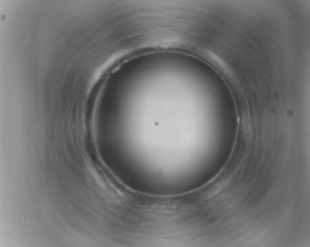 X0000060810532200511241938