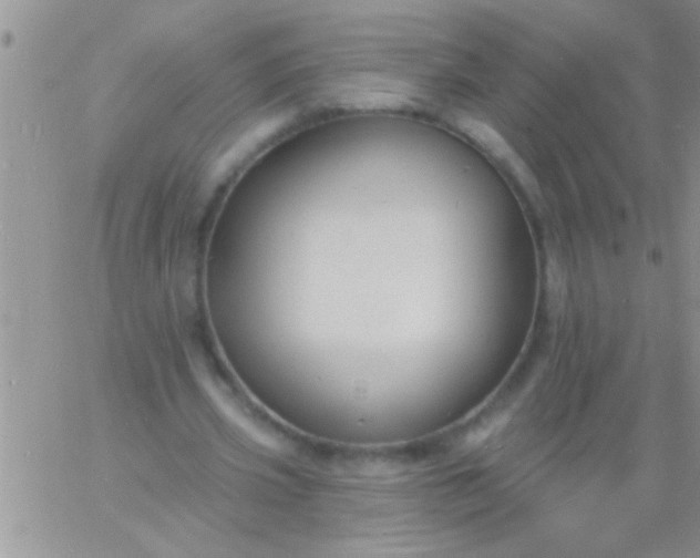 X0000060810533200511241938