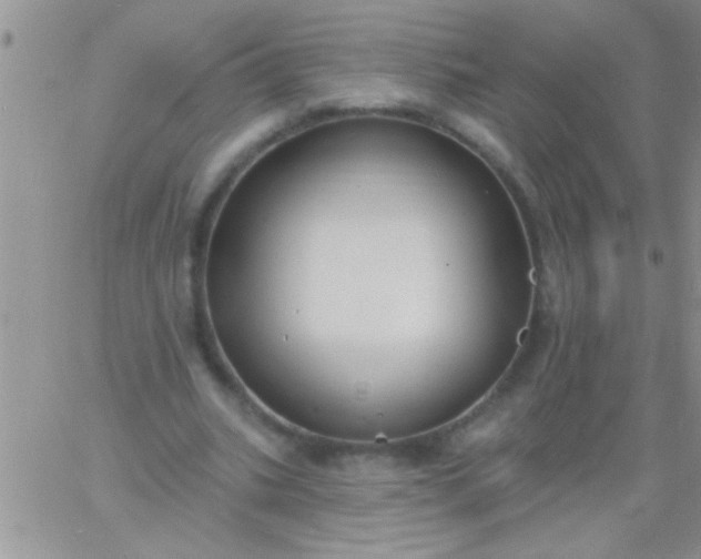 X0000060810535200511241938