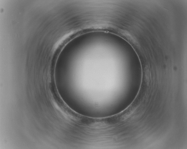 X0000060810536200511241938