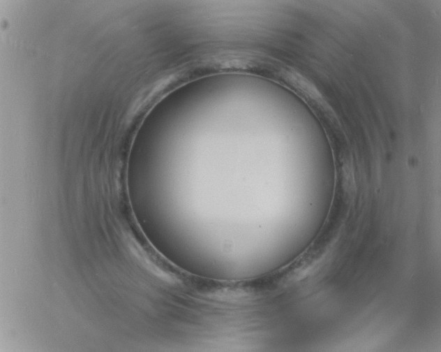 X0000060810537200511241938