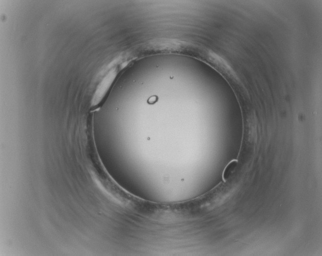 X0000060810538200511241938