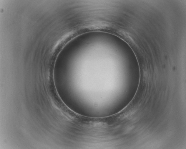 X0000060810539200511241938