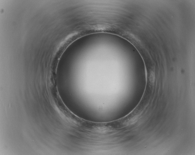 X0000060810540200511241938