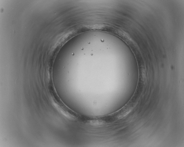 X0000060810541200511241938