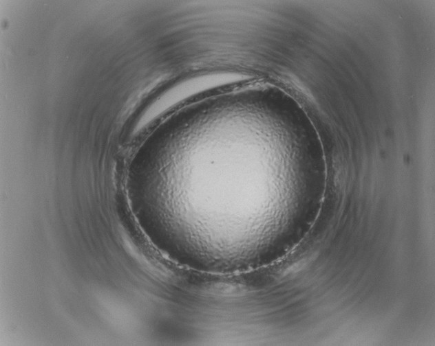 X0000060810542200511241938