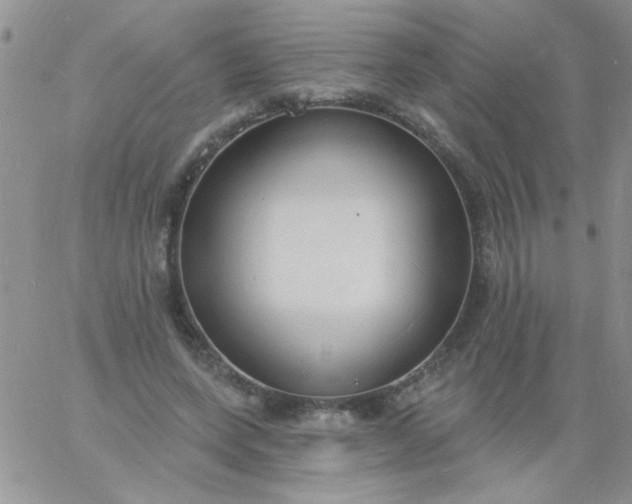 X0000060810543200511241938