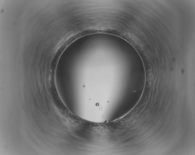 X0000060810544200511241938