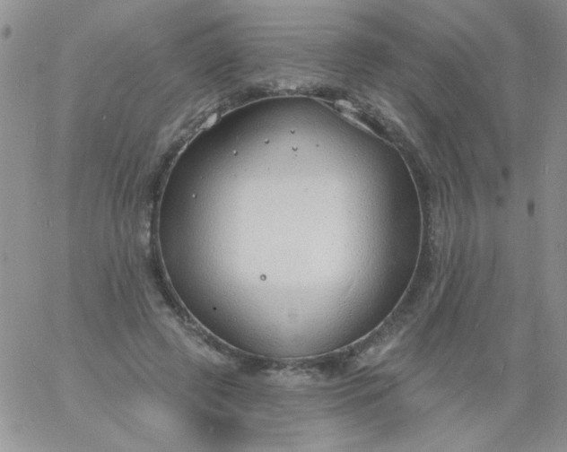 X0000060810545200511241938