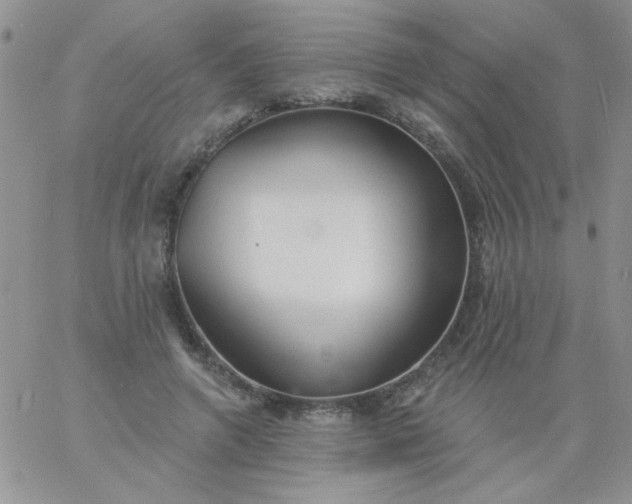 X0000060810546200511241938