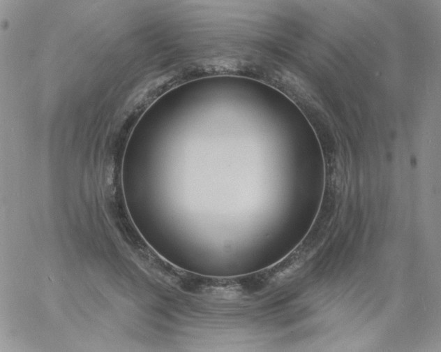 X0000060810548200511241938