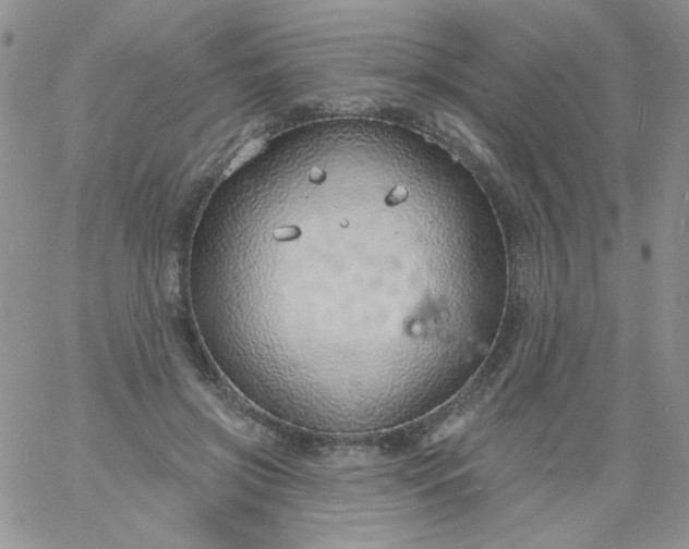 X0000060810549200511241938