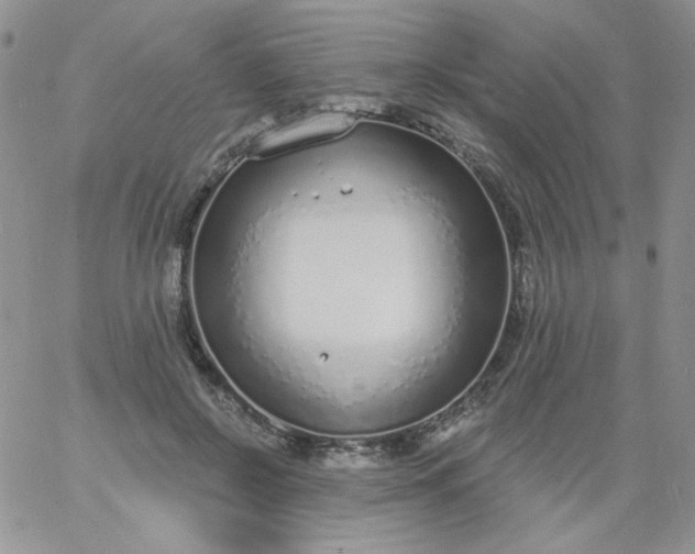 X0000060810550200511241938