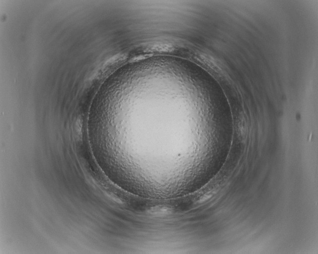 X0000060810551200511241938