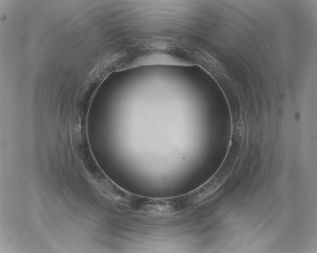 X0000060810552200511241938