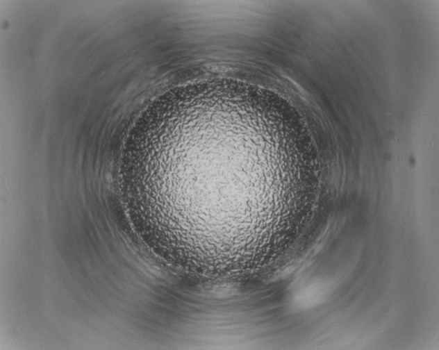 X0000060810553200511241938