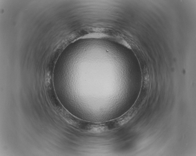 X0000060810555200511241938