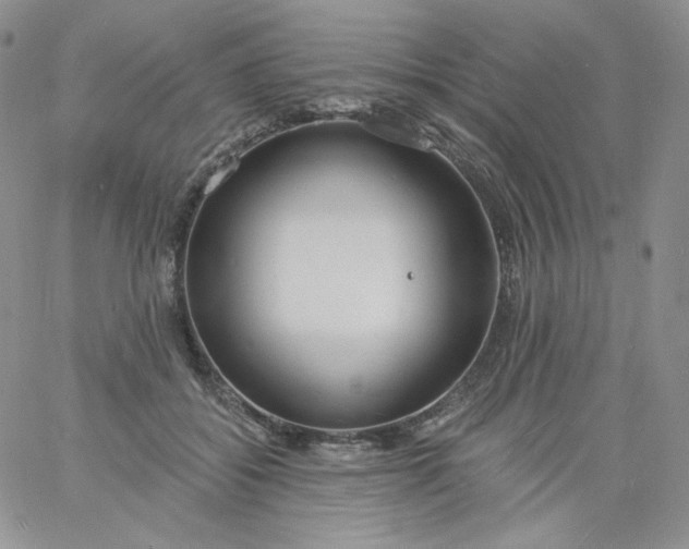 X0000060810556200511241938