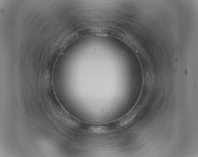 X0000060810557200511241938