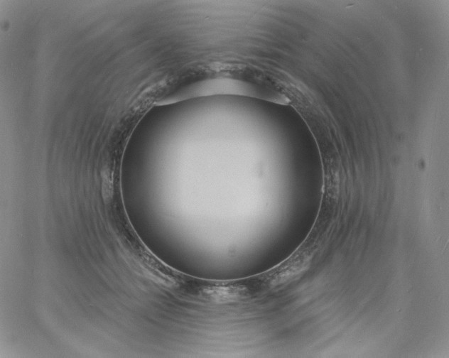 X0000060810558200511241938