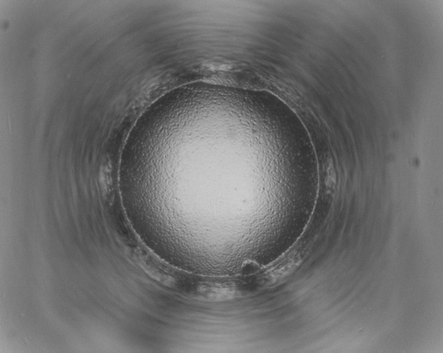 X0000060810559200511241938