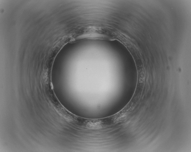 X0000060810560200511241938