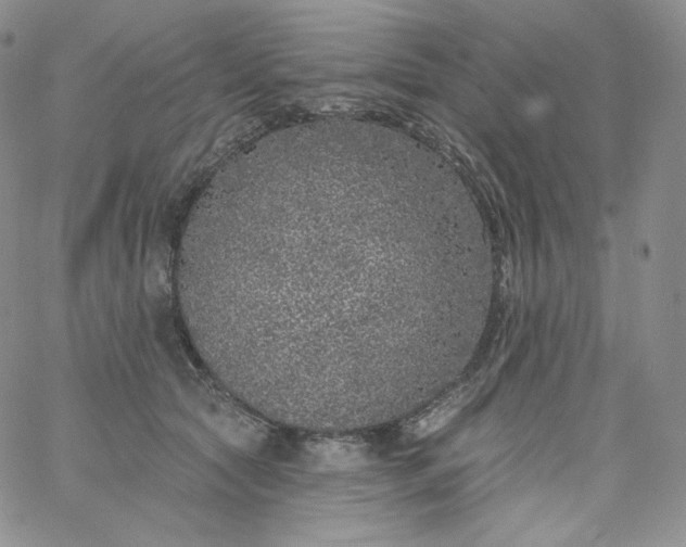 X0000060810561200511241938