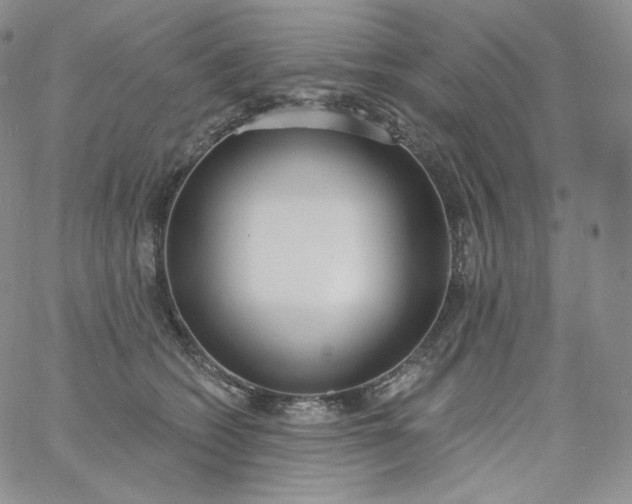 X0000060810562200511241938